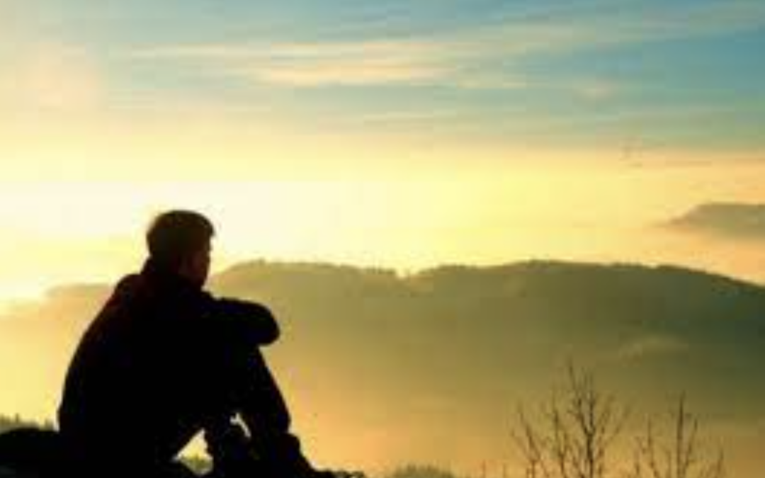La Inevitabilidad de la soledad: la necesidad de la conexión humana